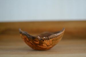 Apricot Bowl by Motoko Smith